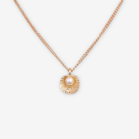 Collana con conchiglia